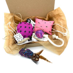 catzup Spielspaß „Pink Box“ - 5er-Set - Katzenspielzeug aus Naturmaterialien