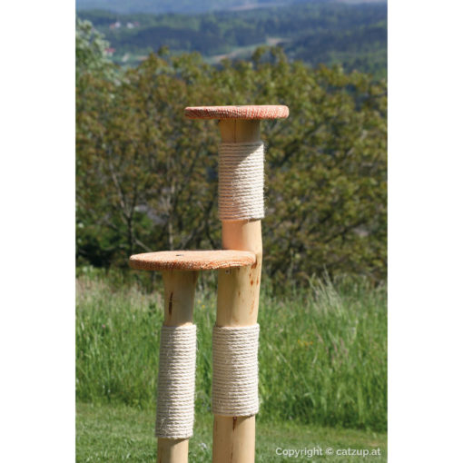 catzup double | BiOr - Naturkratzbaum für Katzen, Kratzbaum mit Birkenholz – Bild 2