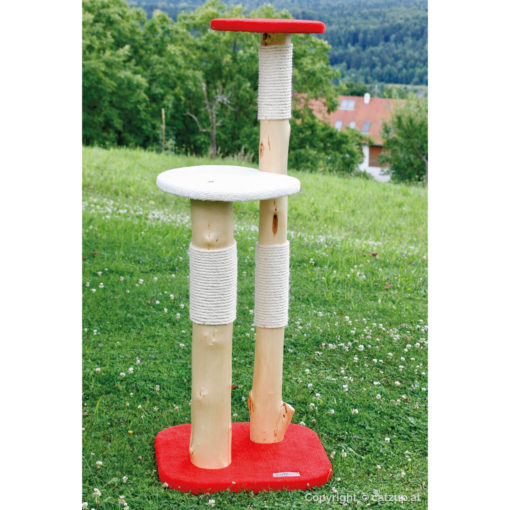 catzup double | BiRoWe - Naturkratzbaum für Katzen, Kratzbaum mit Birkenholz