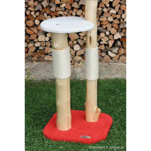 catzup double | BiRoWe - Naturkratzbaum für Katzen, Kratzbaum mit Birkenholz – Bild 6