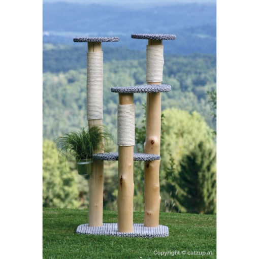 catzup special | BiBlu - Naturkratzbaum für Katzen, Kratzbaum mit Birkenholz