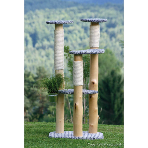 catzup special | BiBlu - Naturkratzbaum für Katzen, Kratzbaum mit Birkenholz – Bild 4