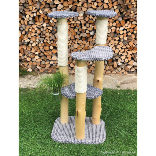 catzup special | BiBlu - Naturkratzbaum für Katzen, Kratzbaum mit Birkenholz – Bild 5