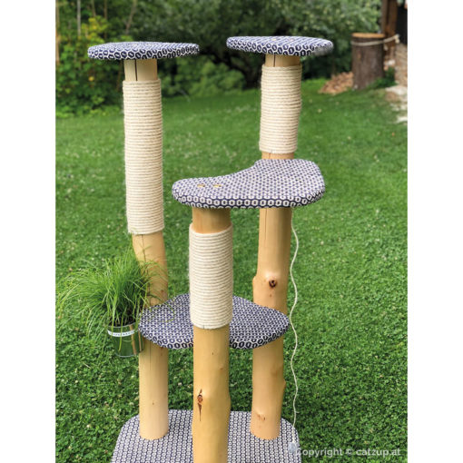 catzup special | BiBlu - Naturkratzbaum für Katzen, Kratzbaum mit Birkenholz – Bild 9