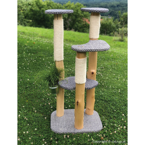 catzup special | BiBlu - Naturkratzbaum für Katzen, Kratzbaum mit Birkenholz – Bild 8