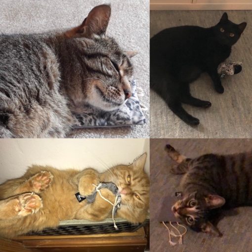 catzup „Große Maus“ - Schmusemaus, Städtenamen – Katzenspielzeug aus Naturmaterialien – Bild 3