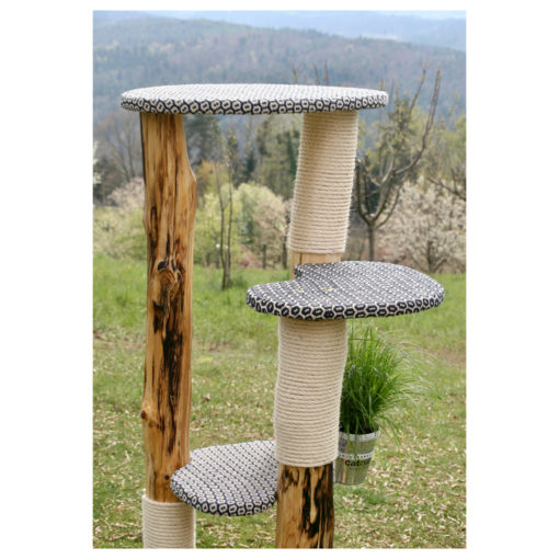 catzup special | BiBlu - Naturkratzbaum für Katzen, Kratzbaum mit Birkenholz – Bild 4