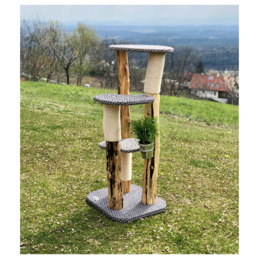 catzup special | BiBlu - Naturkratzbaum für Katzen, Kratzbaum mit Birkenholz – Bild 2