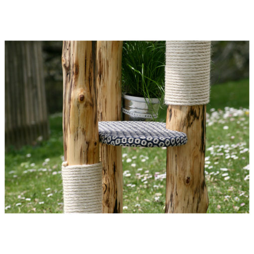 catzup special | BiBlu - Naturkratzbaum für Katzen, Kratzbaum mit Birkenholz – Bild 8