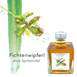 ungspritzt-Likör | Fichtenwipferl, 200ml