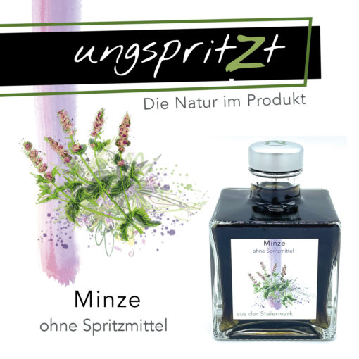 ungspritzt-Likör | Minze, 200ml – Bild 5