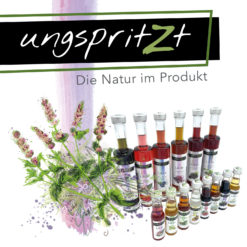 UNGSPRITZT
