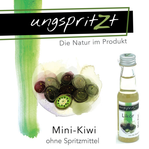ungspritzt-Likör | Mini-Kiwi – Bild 5