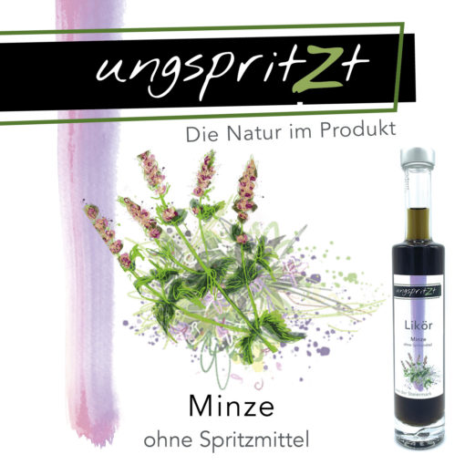 ungspritzt-Likör | Minze – Bild 4