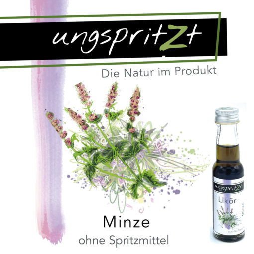 ungspritzt-Likör | Minze – Bild 5