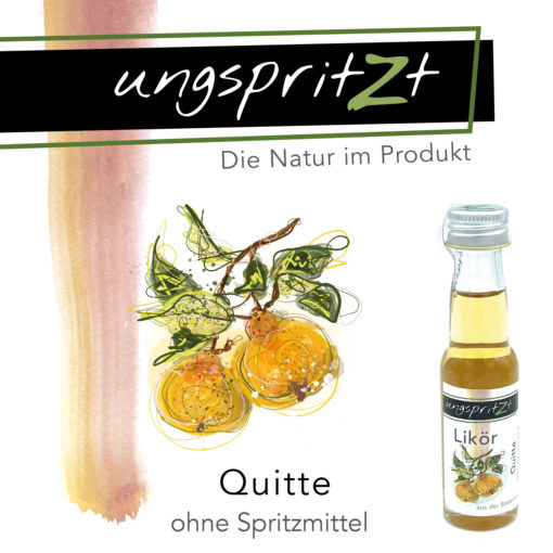 ungspritzt-Likör | Quitte – Bild 5