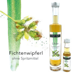 ungspritzt-Likör | Fichtenwipferl
