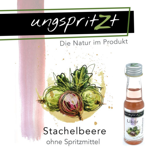 ungspritzt-Likör | Stachelbeere – Bild 5