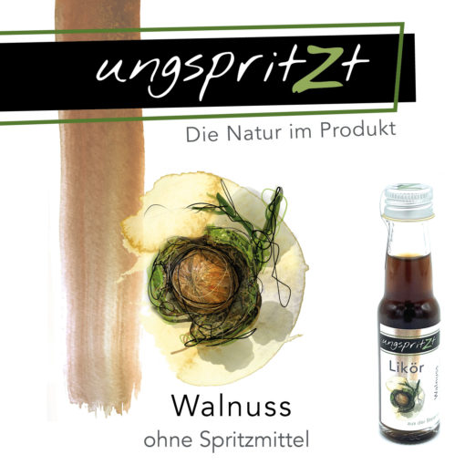 ungspritzt-Likör | Walnuss – Bild 3